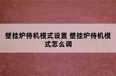 壁挂炉待机模式设置 壁挂炉待机模式怎么调